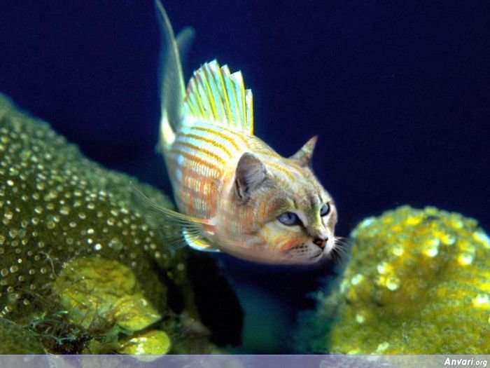 Name That Animal: Challenge&nbsp;#2