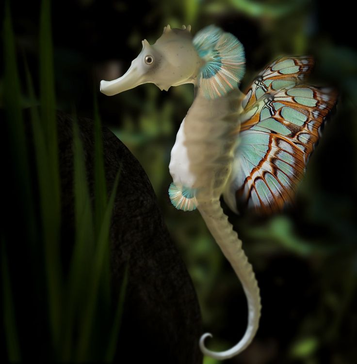 Name That Animal: Challenge&nbsp;#3